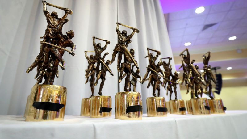 Champions Kilkenny Lead All-Stars Awards Selections
