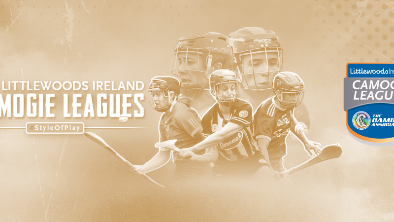 FIXTURES: Littlewoods Ireland Camogie Leagues 15.05.2021