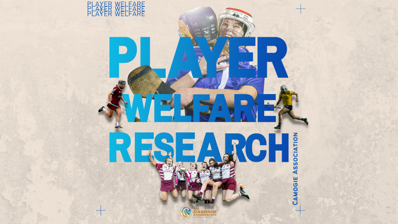 Player Welfare Research 2022