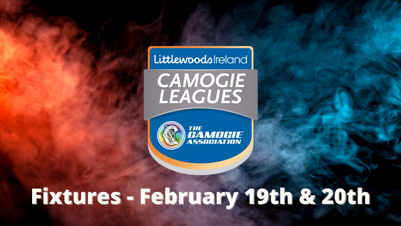 FIXTURES: Littlewoods Ireland Camogie Leagues, February 19th & 20th