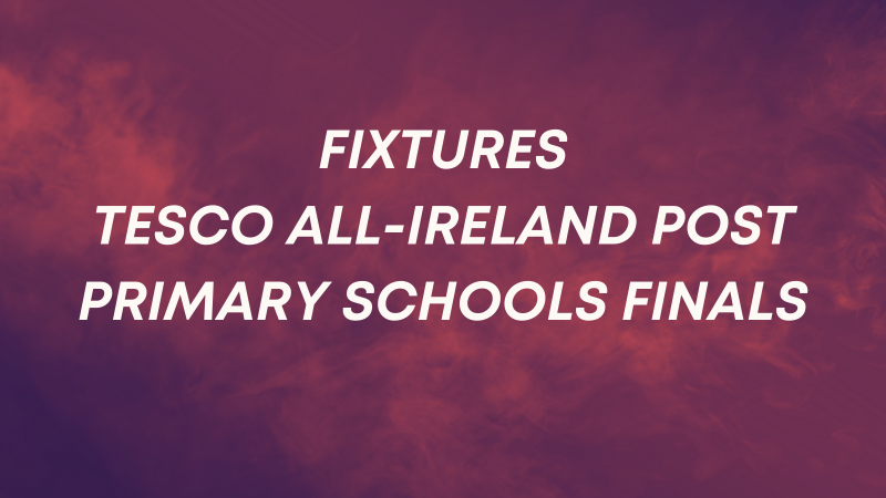 FIXTURES: Tesco All-Ireland Post Primary Schools Finals