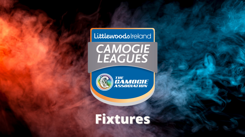 FIXTURES: Littlewoods Ireland Camogie Leagues, March 12th
