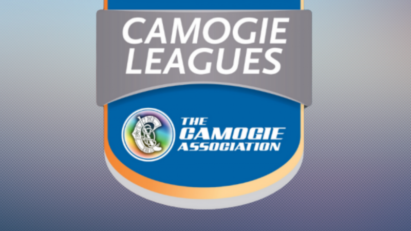 Littlewoods Ireland Camogie League Results