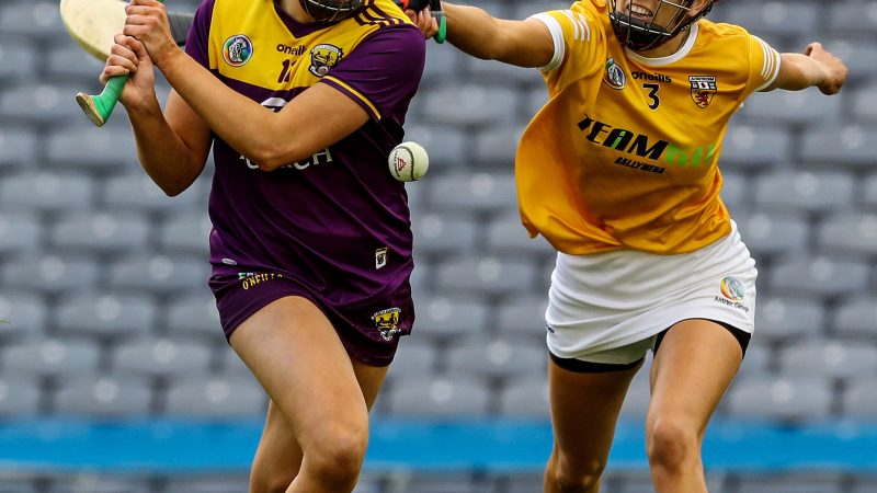 REPORT: Fast start carries Wexford to league glory