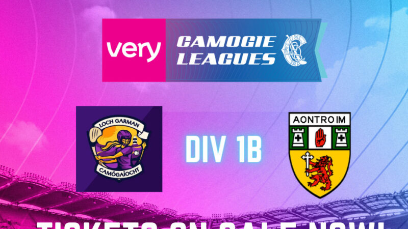 Very Camogie Leagues Division 1B – Tickets