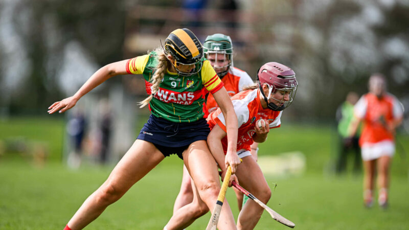 REACTION: Cleere hails Carlow character to overcome nerves and Armagh