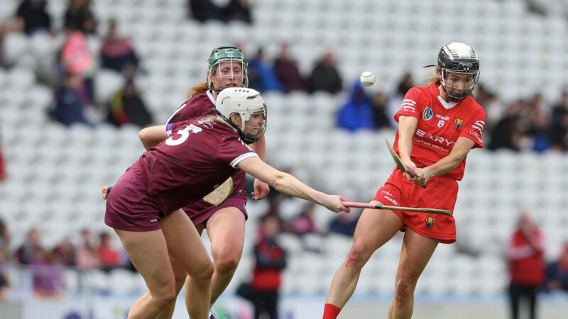 Saoirse McCarthy: I’m getting used to it, not running around like a headless chicken