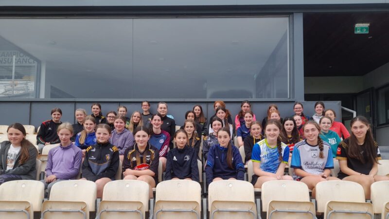 The Leinster Camogie4Teen Series