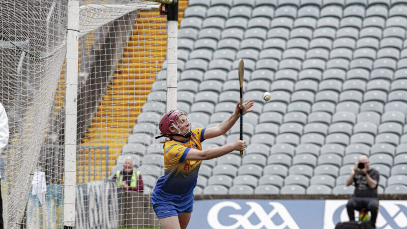 FEATURE: Murphy bringing all her skills to the table for Clare