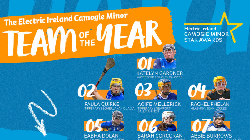 2024 Electric Ireland Camogie All-Ireland Minor Championships Team of the Year