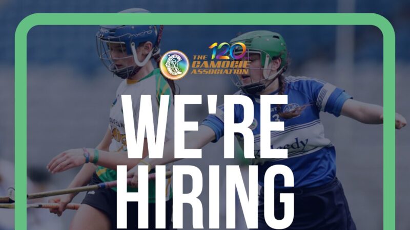 We are Hiring – Táin Og Development Co-ordinator (1 year Fixed Term Contract)