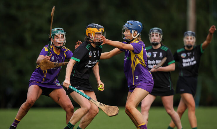 AIB All-Ireland Camogie Club Intermediate Semi-Final: Clanmaurice vs St. Brigid’s